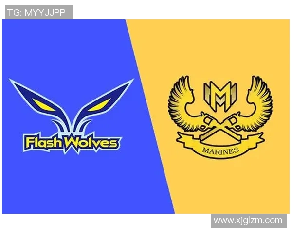 维罗纳与戈里察精彩对决直播全程回顾与分析